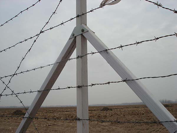 刺鐵絲柵欄圖片1