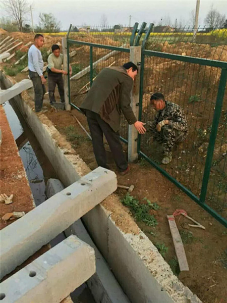 滬昆鐵路貴州段防護柵欄護欄網項目圖片2 滬昆鐵路貴州段防護柵欄護欄網項目圖片2