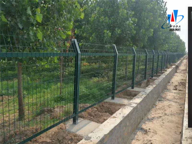 公路隔離柵圖片5